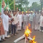 एसाआईआर, चुनावी पारदर्शिता और लोकतंत्र की रक्षा को लेकर राजद का प्रदर्शन, मुख्य चुनाव आयुक्त का फूका पुतला